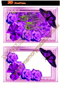 Purple rose with butterfly