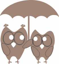 Owl pair under umbrella