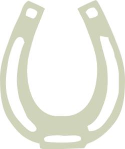 Horse Shoes pack of 100