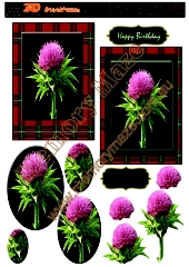 Scotch thistle with red tartan