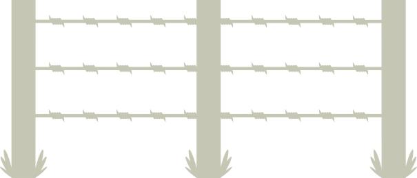 Barb Wire fence 2 panels 150mm x 70mm  min buy 3